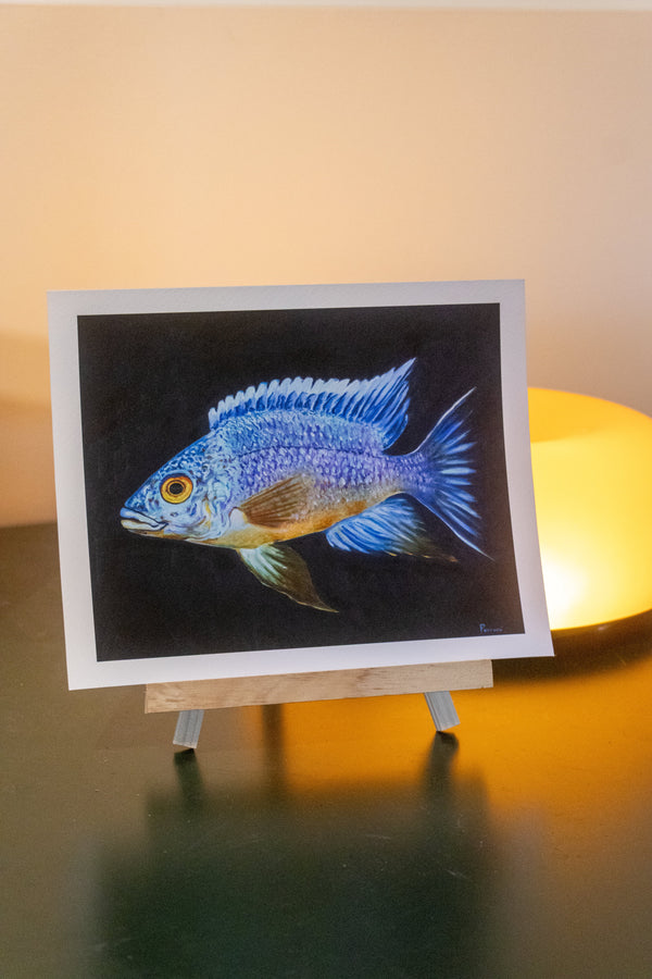"White Blaze Resplendence" Fine Art Print