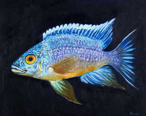 "White Blaze Resplendence" Fine Art Print