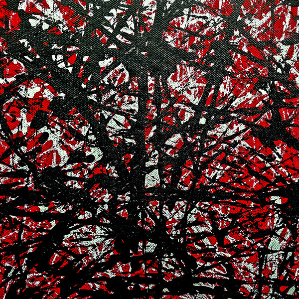 "Contained Chaos" Fine Art Print