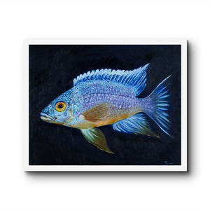 "White Blaze Resplendence" Fine Art Print