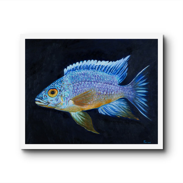 "White Blaze Resplendence" Fine Art Print